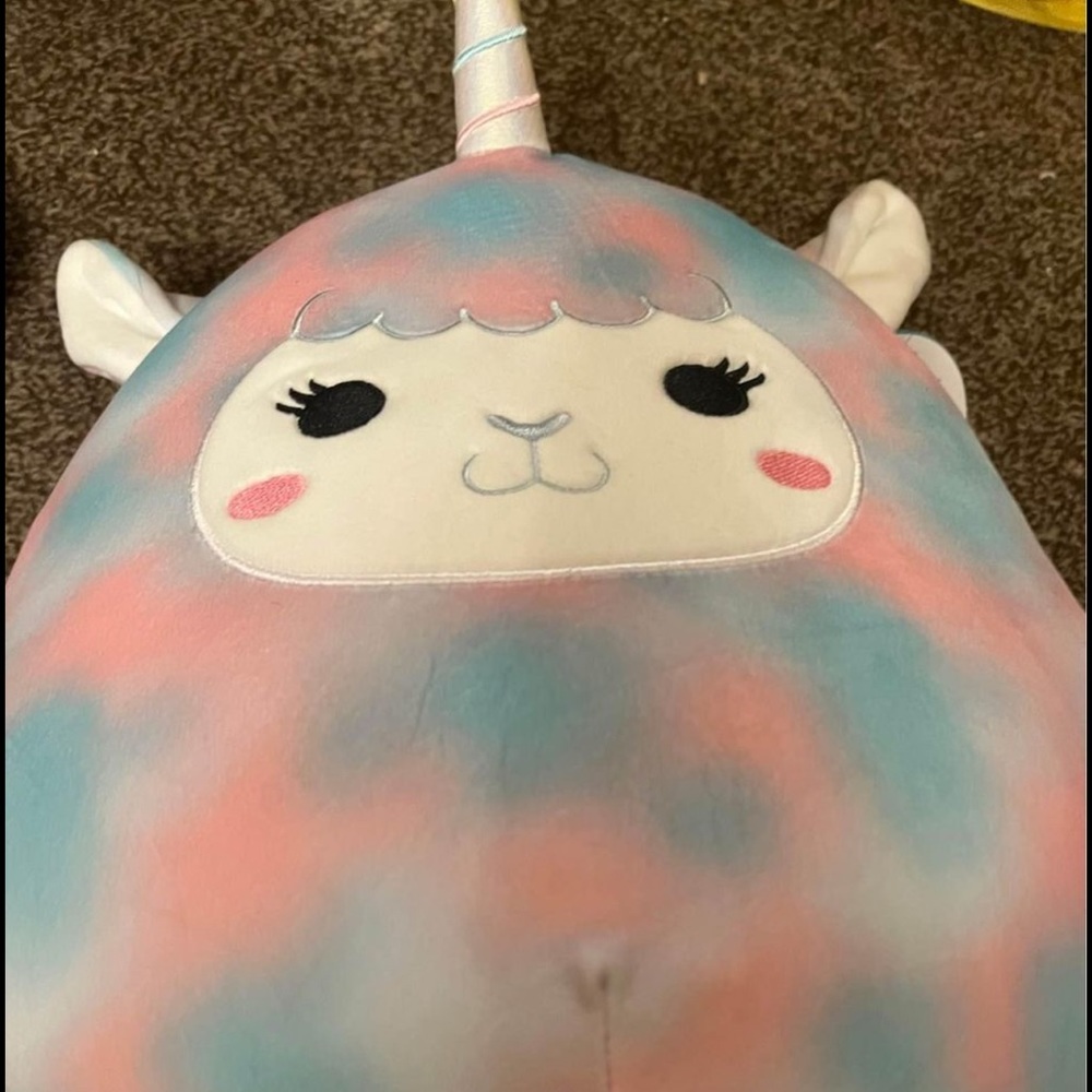 Winona squishmallow
